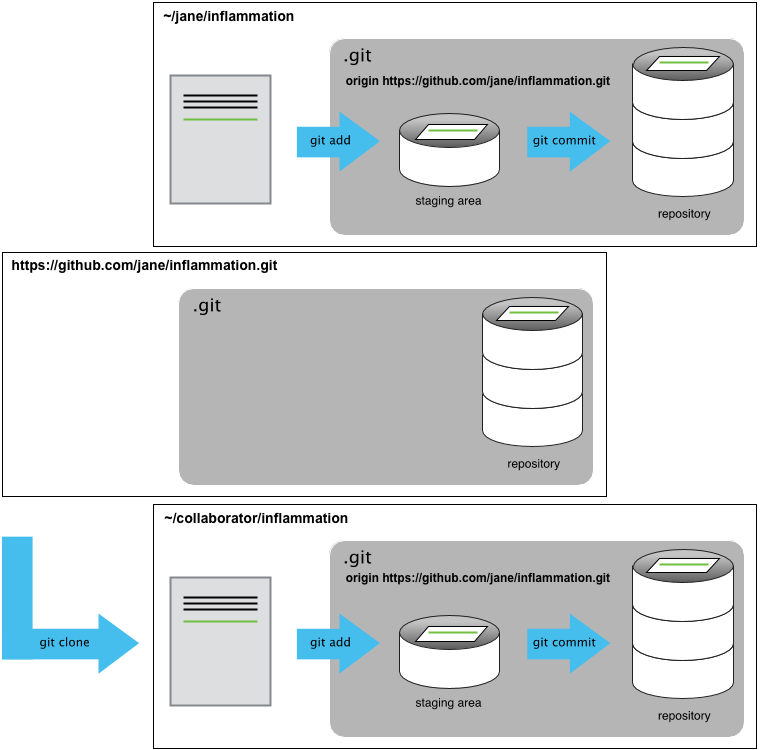 SWD2: Version Control With Git And Github: Collaborating