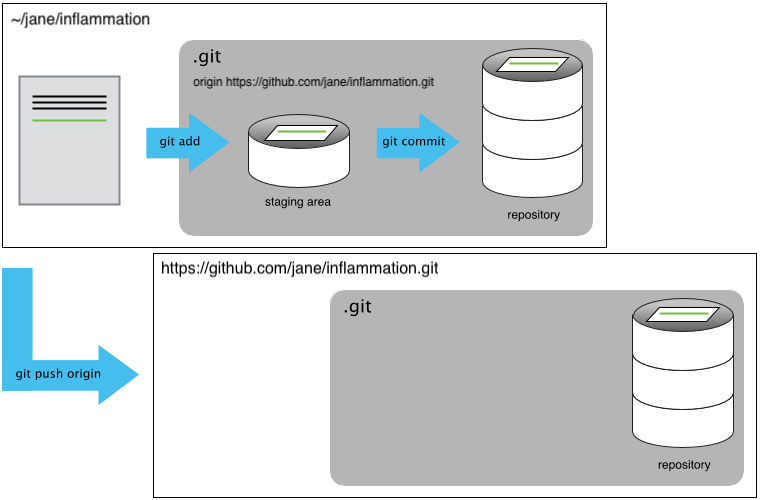 GitHub Repository After First Push